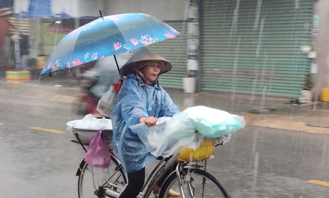 TP.HCM va Nam bo sap don dot mua trai mua hinh anh