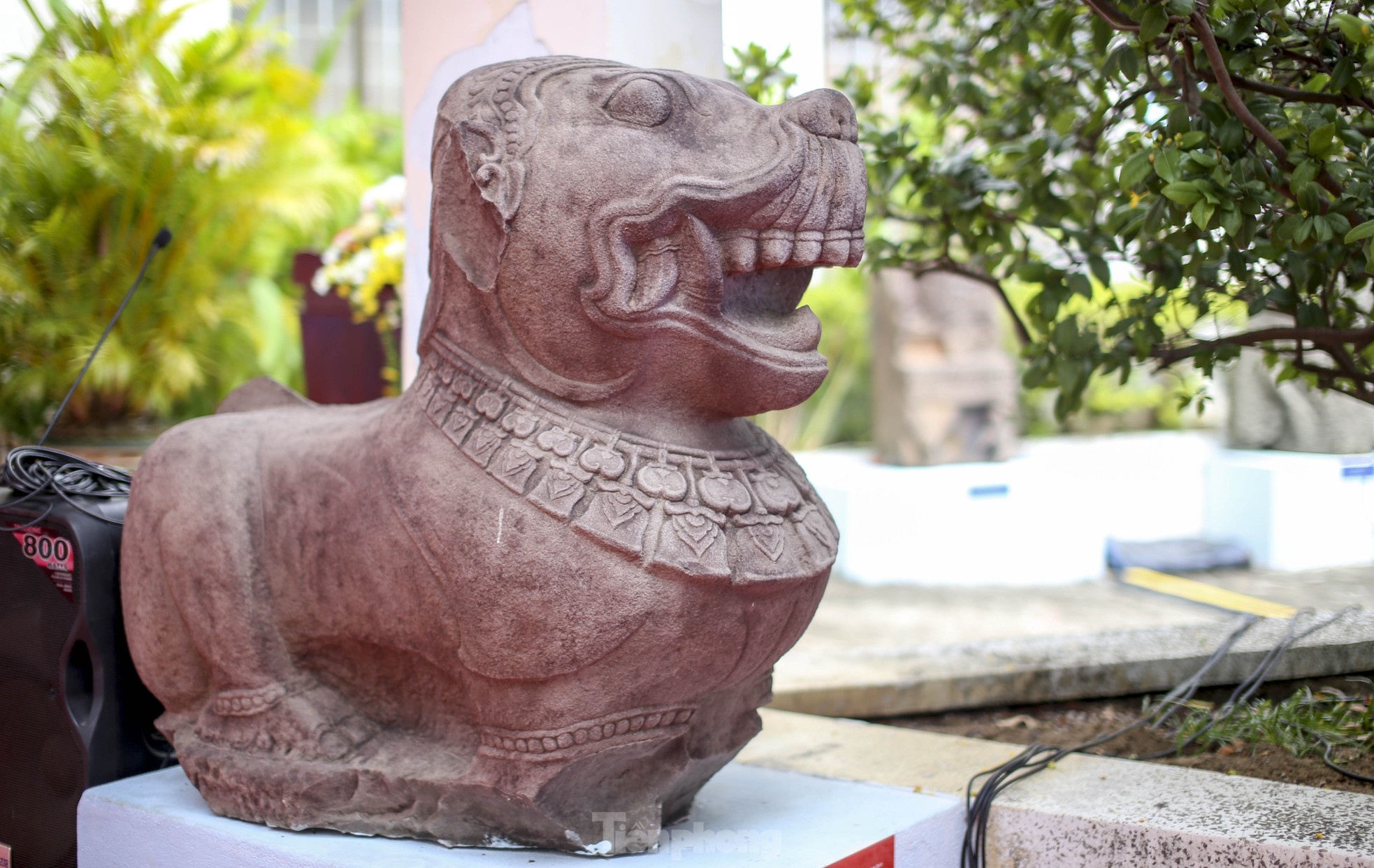 Su tu da Do Ban anh 3