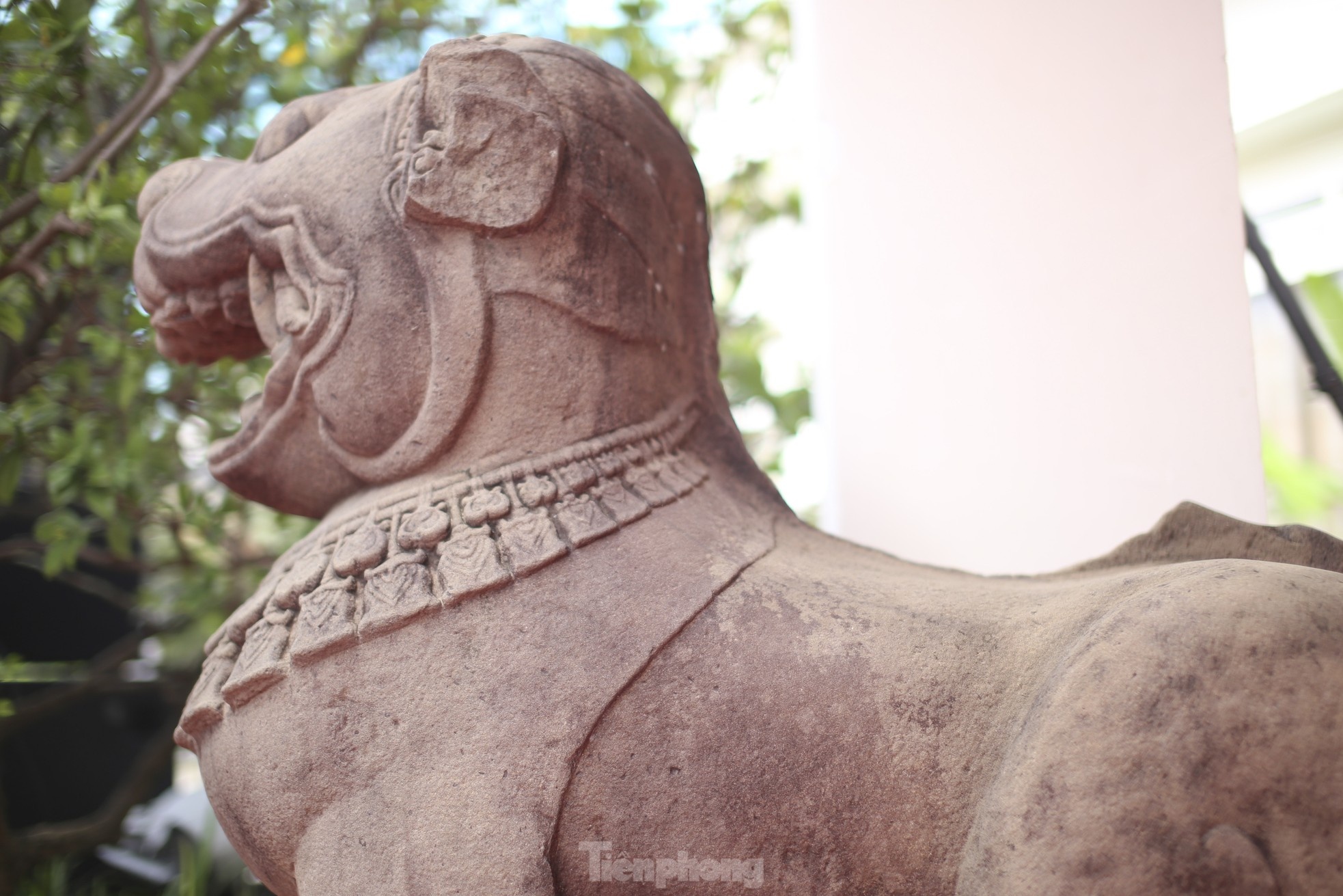 Su tu da Do Ban anh 4