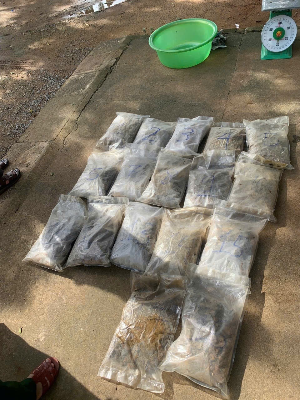 Ma tuy Quang Ngai anh 1