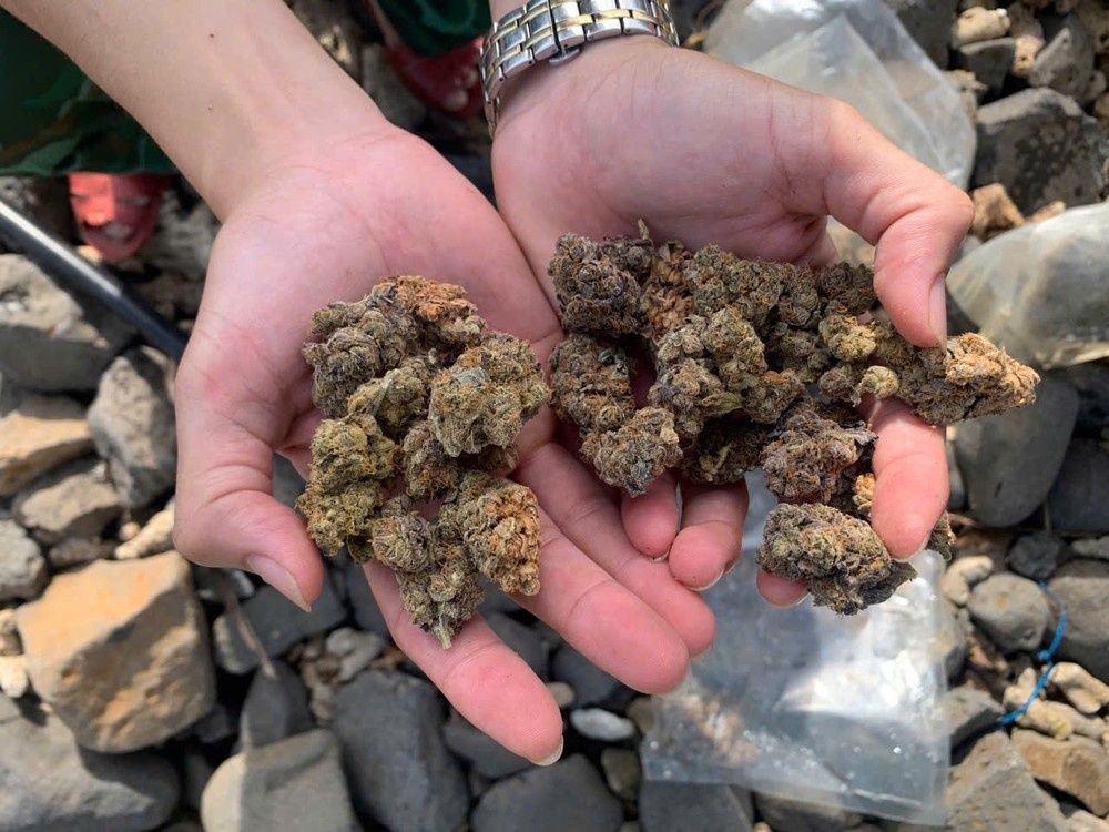 Tiep tuc phat hien nhieu goi can sa dat vao bo bien Quang Ngai hinh anh