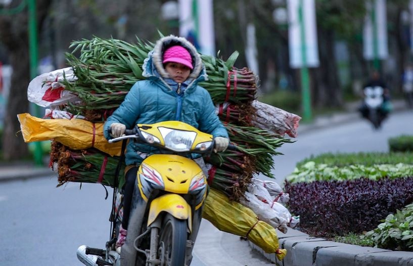 Bac Bo nhiet do ha, vung nui xuong duoi 15 do hinh anh