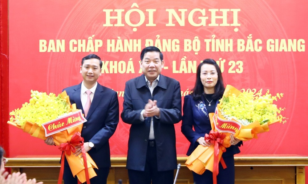 Bac Giang co hai tan Pho bi thu Tinh uy hinh anh