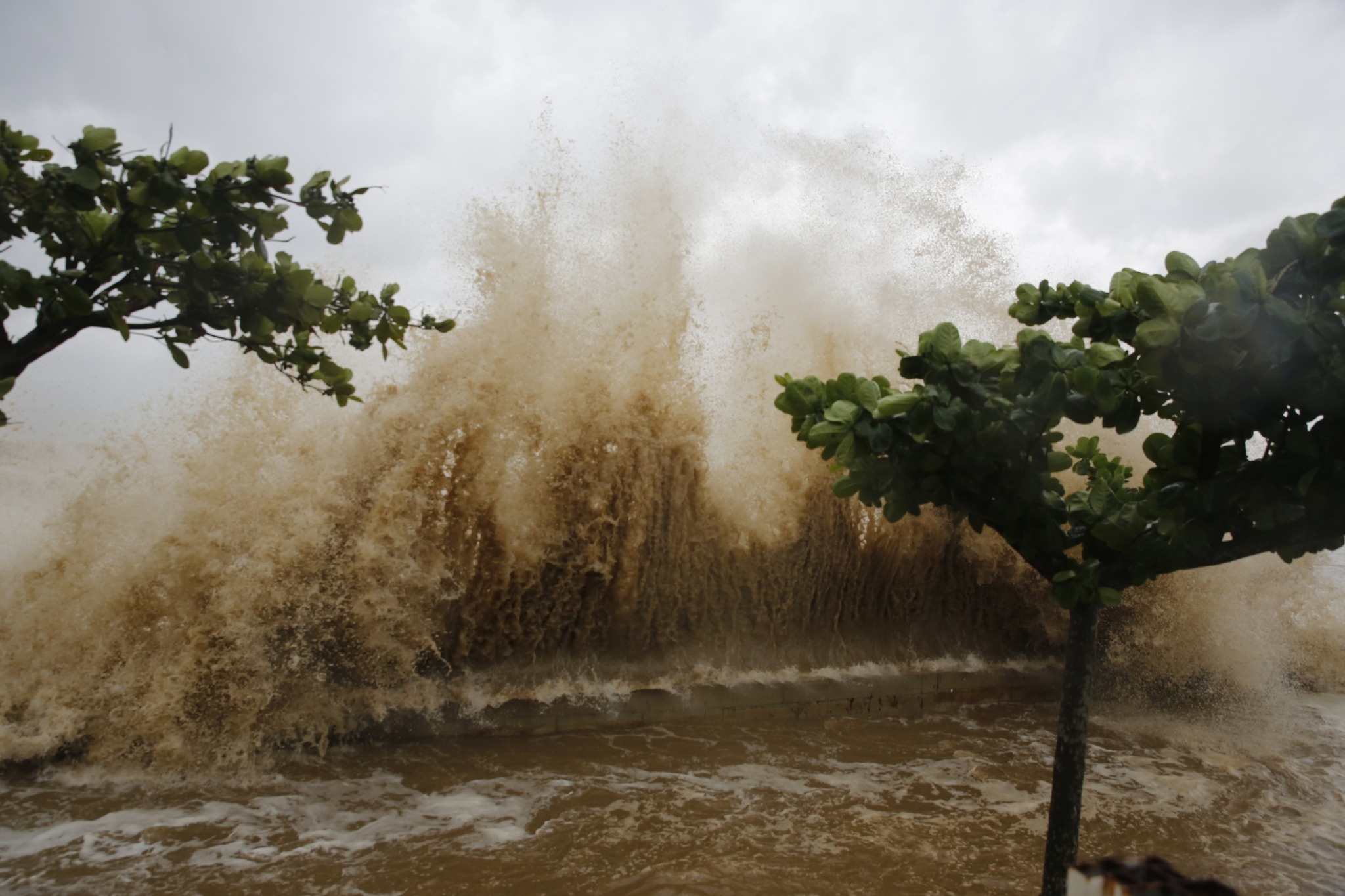 Bien Dong xuat hien vung ap thap hinh anh