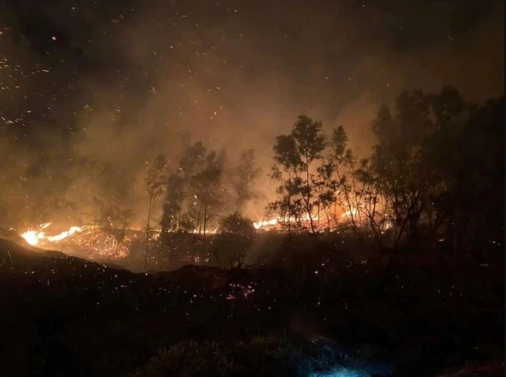 Nhanh chong dap tat dam chay tai nui Phat Tich hinh anh