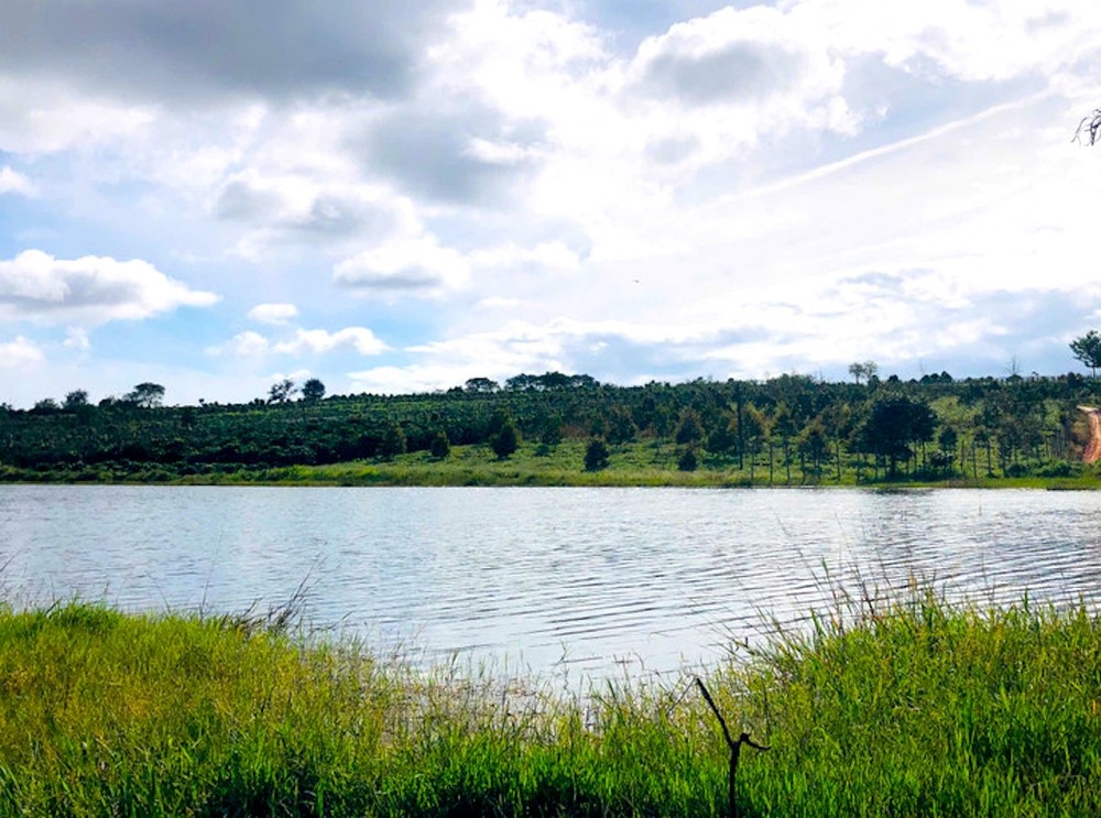 Duoi nuoc tu vong anh 1