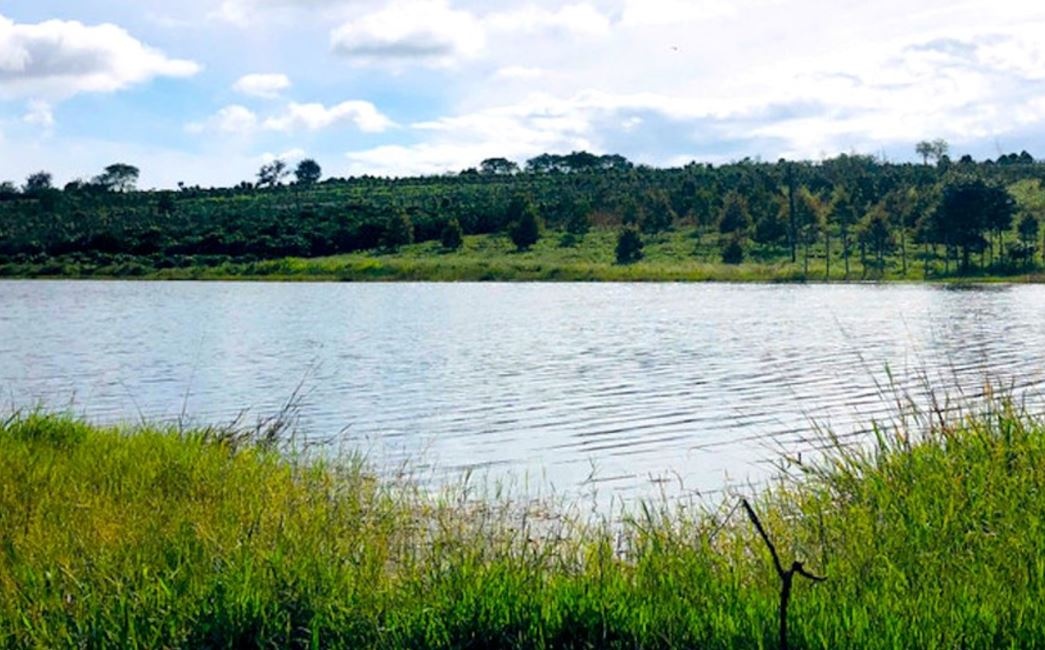 Cung ban tam ho, nam sinh lop 6 duoi nuoc tu vong hinh anh