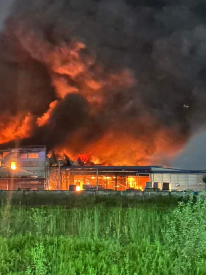 Cong ty Dong A,  Hai Phong anh 1