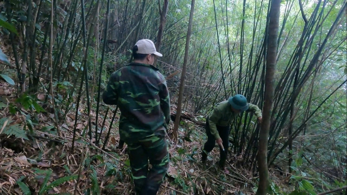 bao ton dong vat anh 8