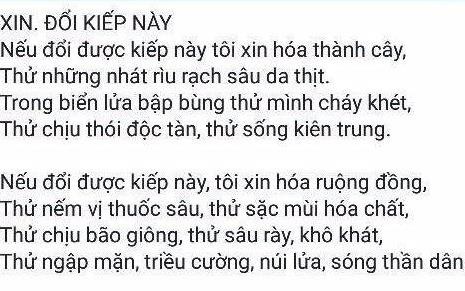 Nu sinh lop 8 gay bat ngo voi bai tho ve moi truong hinh anh