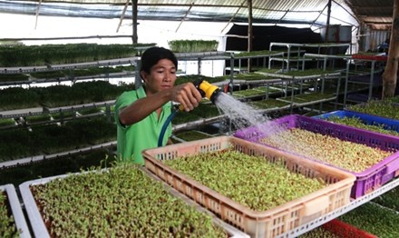 gương mặt trẻ khởi nghiệp ảnh 1 guong mat tre khoi nghiep anh 1