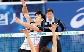 Nam van dong vien bong chuyen dep trai nhu sieu mau hinh anh