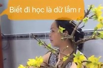 su kien hot tren mang tuan qua anh 9