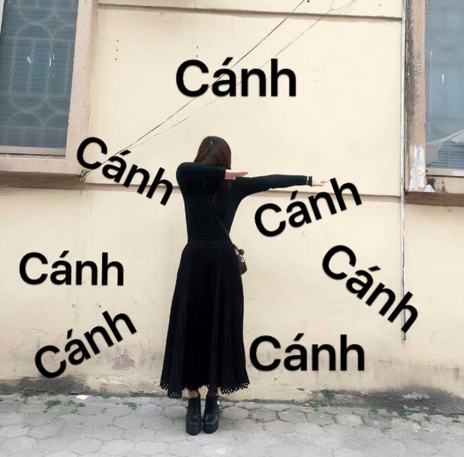 dân mạng chế ảnh cô gái ảnh 4 dan mang che anh co gai anh 4