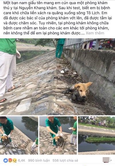 chu cho nho bi nem xuong song To Lich anh 1