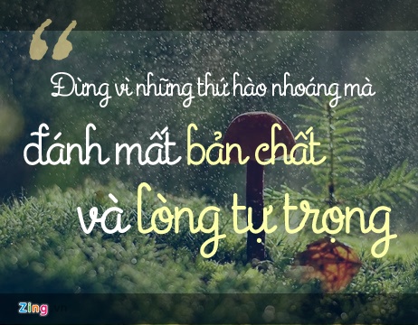 soai ca SH quyt no anh 1