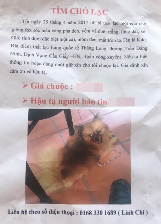 người phụ nữ nghỉ việc tìm chó tại Hà Nội ảnh 2 nguoi phu nu nghi viec tim cho tai Ha Noi anh 2