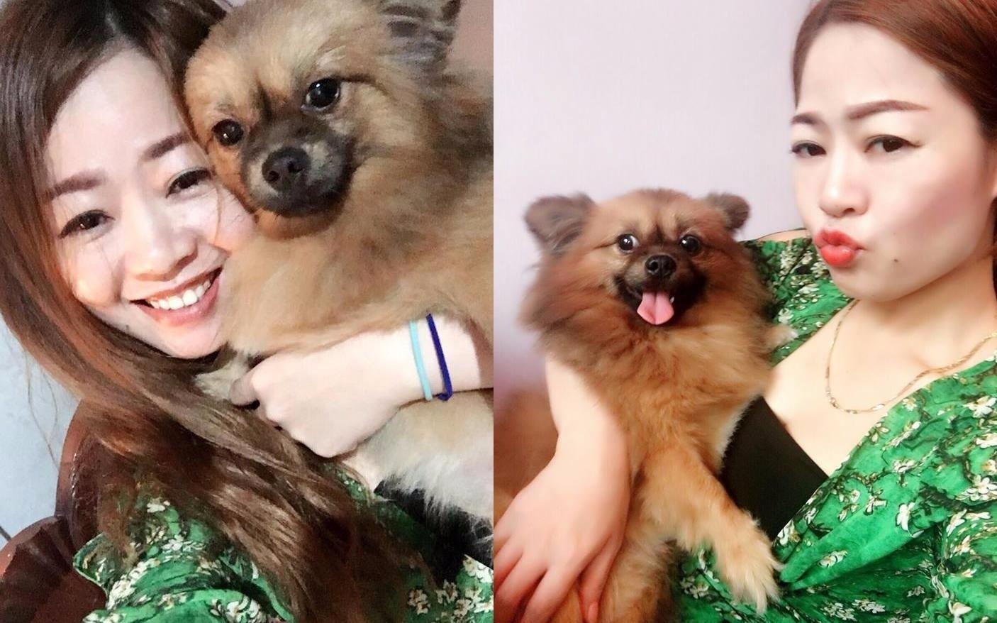 Nguoi phu nu khoc nho dan mang tim chu cho lac hinh anh