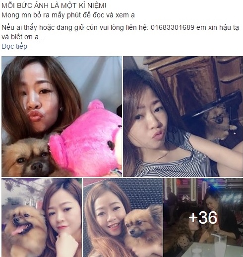 người phụ nữ nghỉ việc tìm chó tại Hà Nội ảnh 1 nguoi phu nu nghi viec tim cho tai Ha Noi anh 1