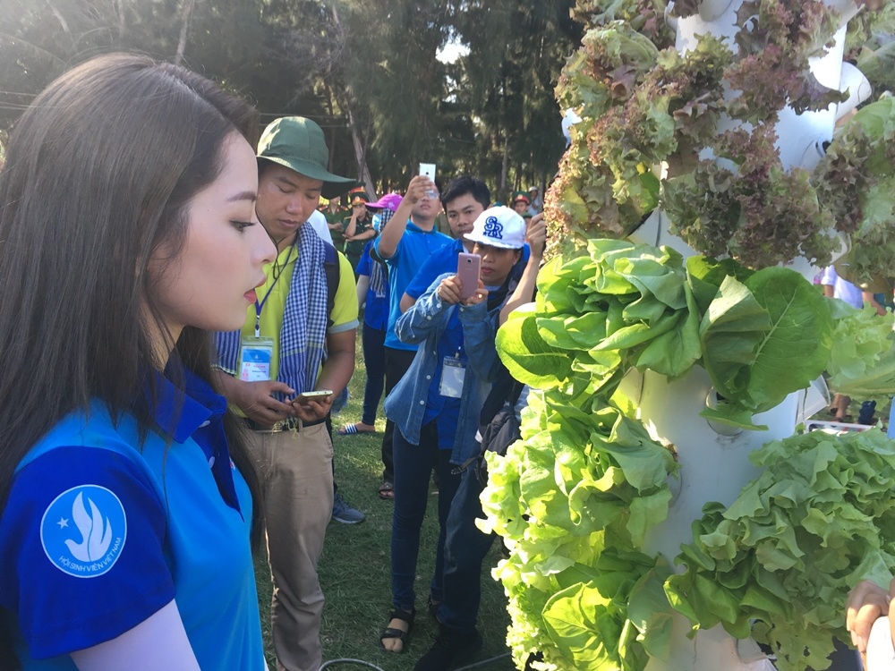 Sinh vien voi bien dao To quoc 2017 anh 5