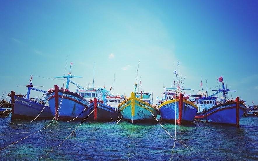 Vung chu quyen khoi nghiep tu bien hinh anh