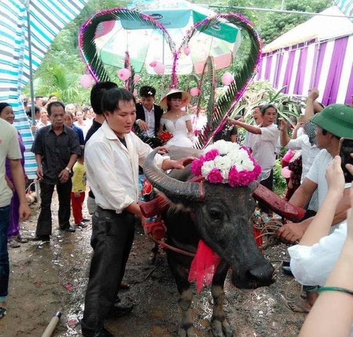 nhung man ruoc dau doc dao anh 3