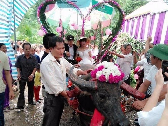 Don dau bang may xuc va nhung man 'ruoc nang ve dinh' doc dao hinh anh