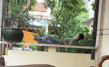 Nguoi dan ong thoai mai nam ngu trua, dung dua tren soi day du hinh anh