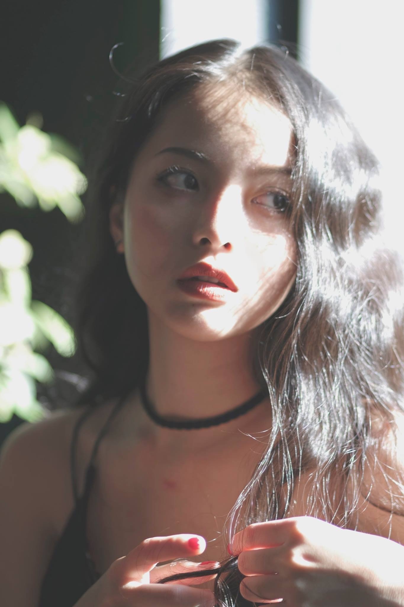 Chau gai dao dien Hong Sen anh 1