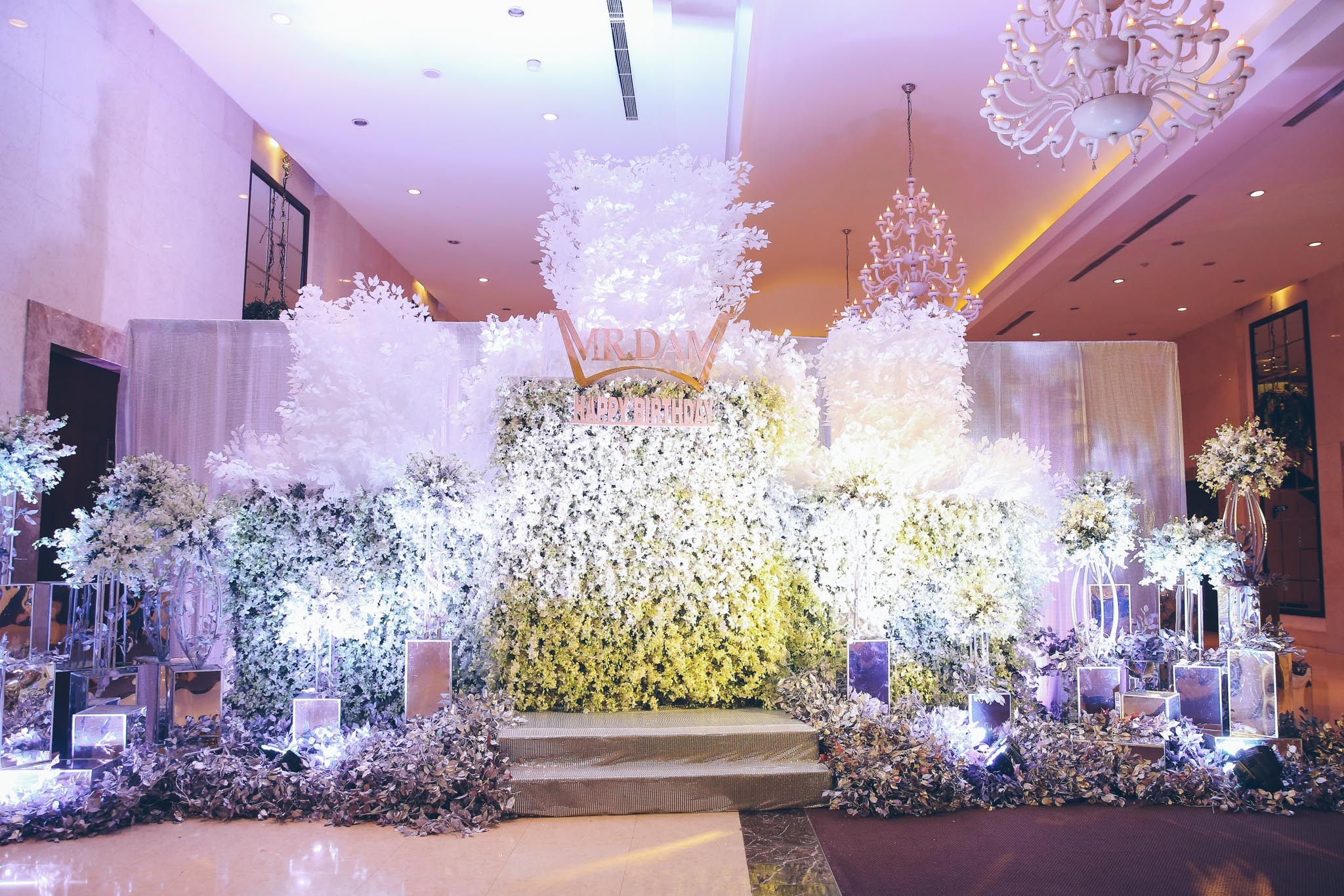 sinh nhat dam vinh hung anh 2