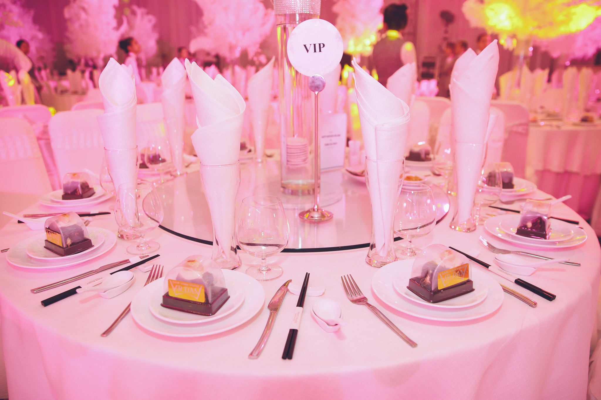 sinh nhat dam vinh hung anh 8