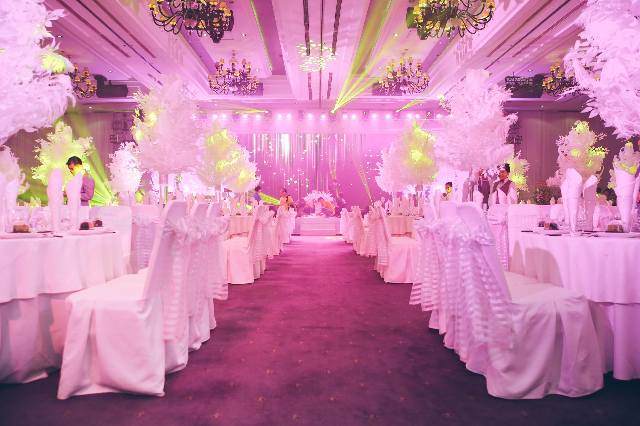 sinh nhat dam vinh hung anh 3