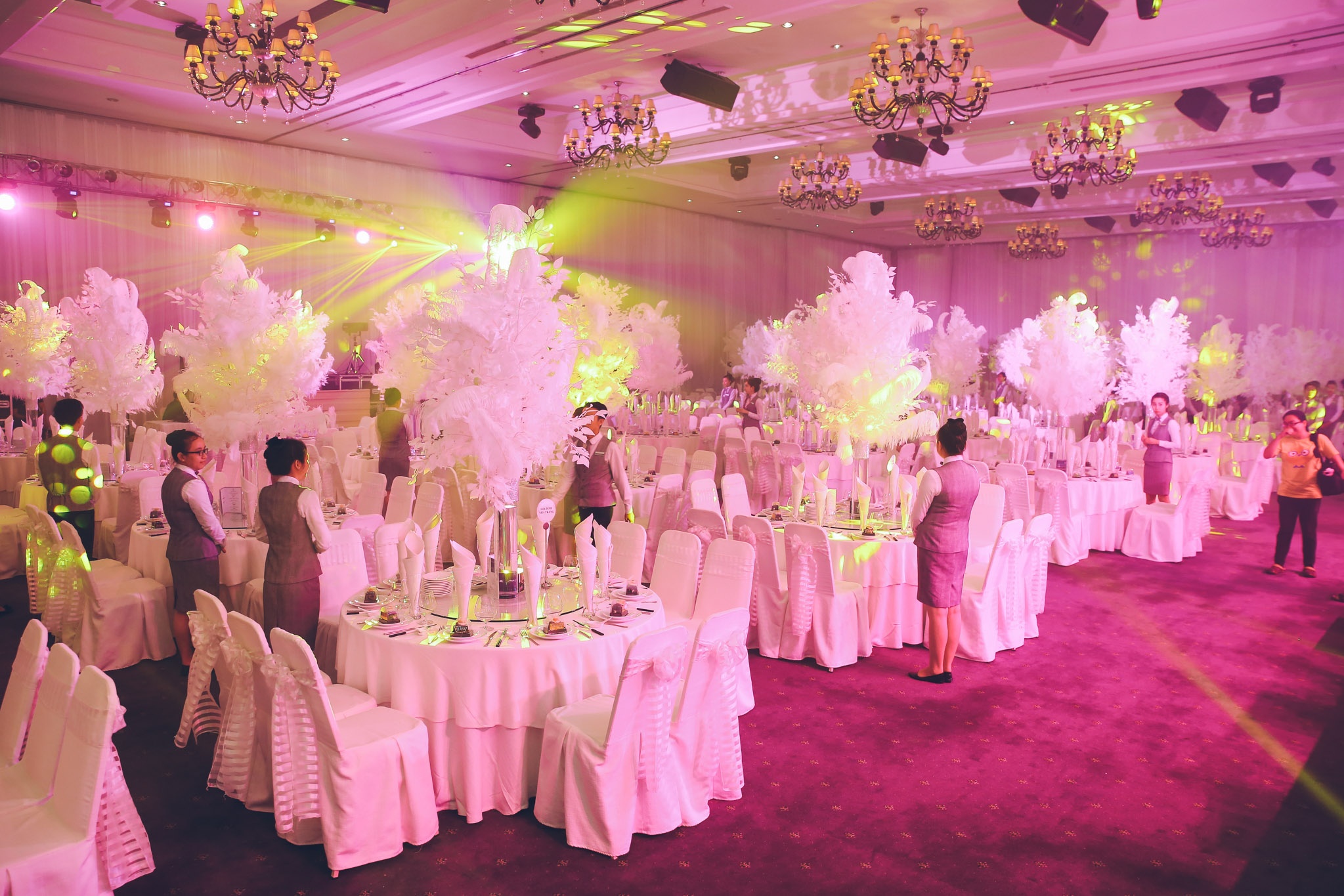 sinh nhat dam vinh hung anh 4