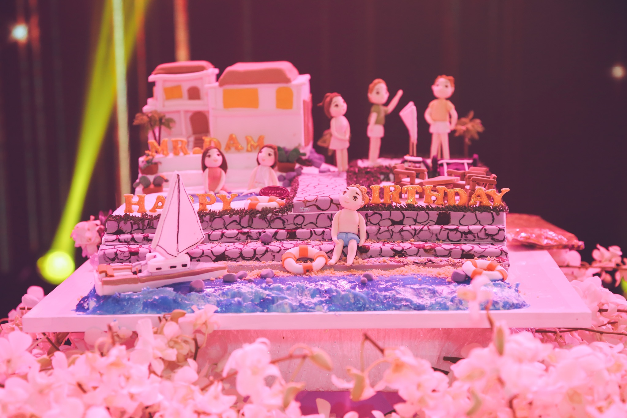 sinh nhat dam vinh hung anh 7