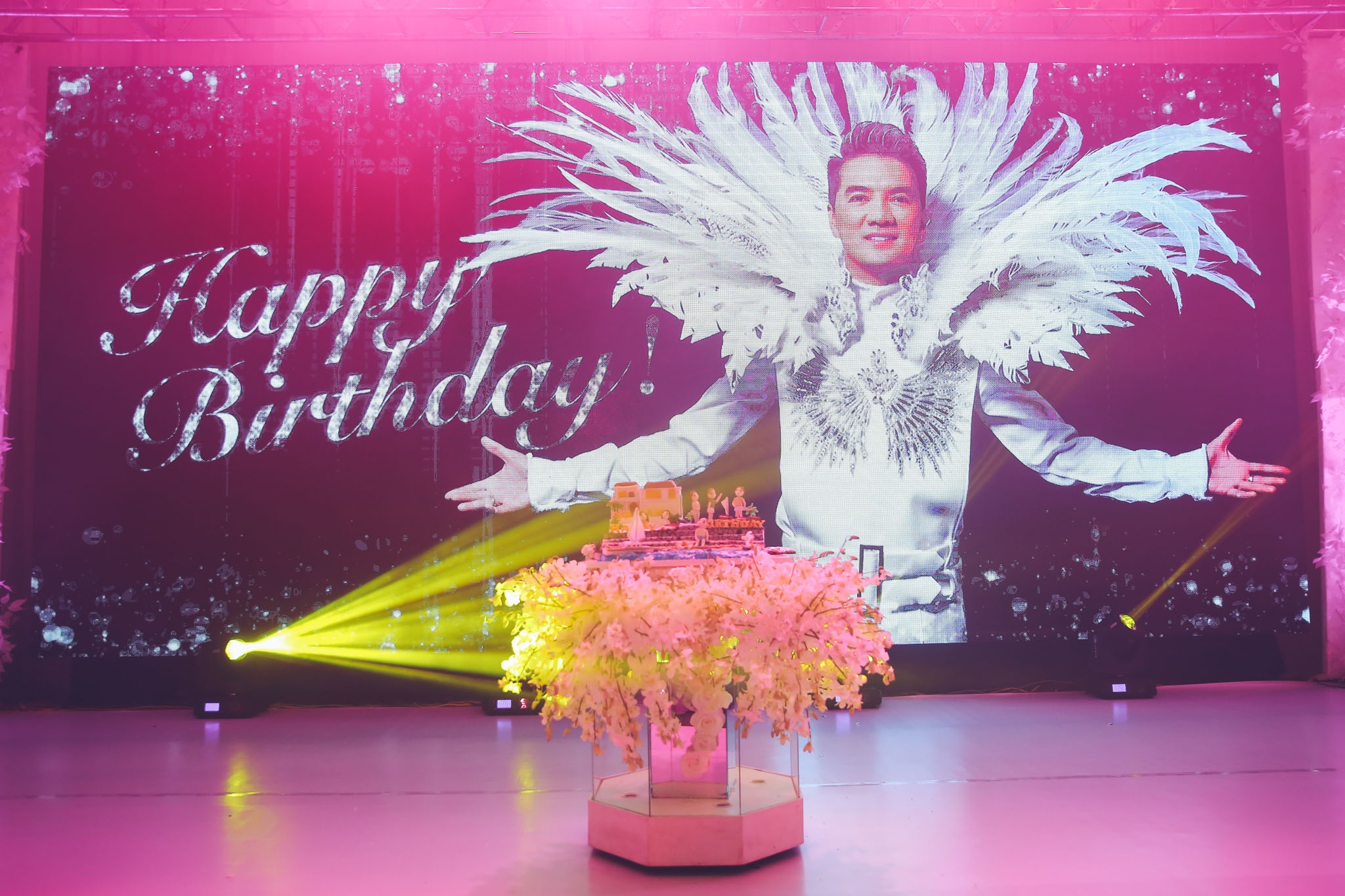 sinh nhat dam vinh hung anh 9