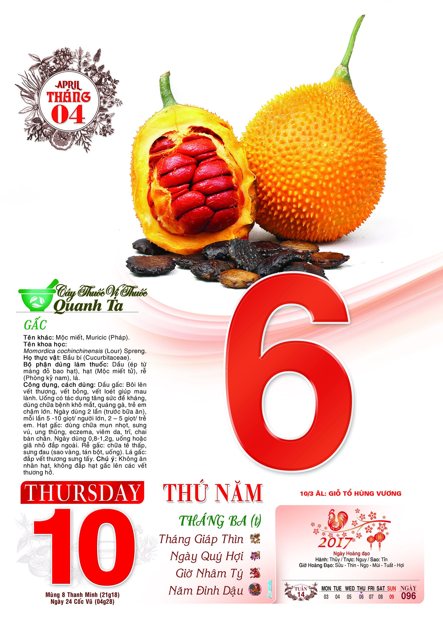 Lịch xuân 2017 ảnh 1 Lich xuan 2017 anh 1