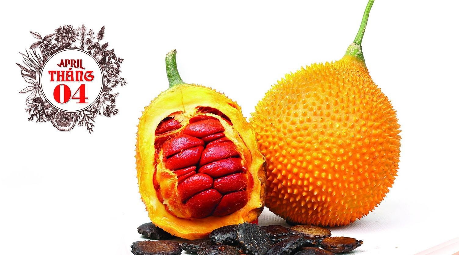 Tim hieu vi thuoc, cay thuoc dan gian qua lich xuan 2017 hinh anh