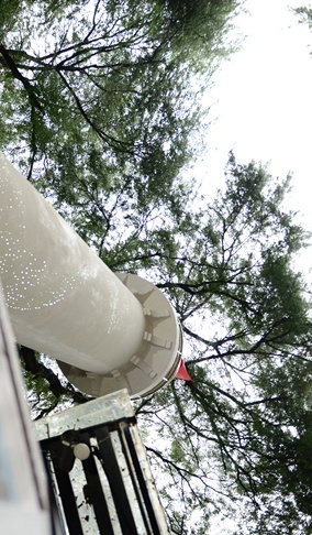 Khanh thanh ngon hai dang o duong sach TP.HCM hinh anh