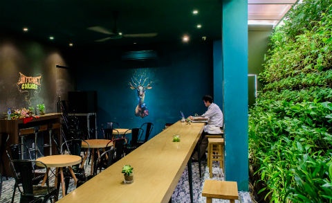 Mang xanh em dem trong khong gian ca phe sach hinh anh