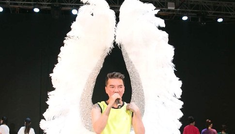 Dam Vinh Hung mang doi canh long vu 4.000 USD len san khau hinh anh