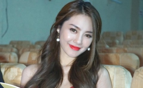 Linh Chi: 'Lam Vinh Hai ung ho toi het minh' hinh anh