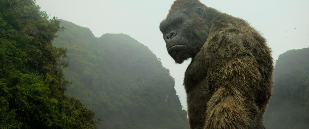 Doanh thu Kong: Skull Island ở Việt Nam ảnh 1 Doanh thu Kong: Skull Island o Viet Nam anh 1