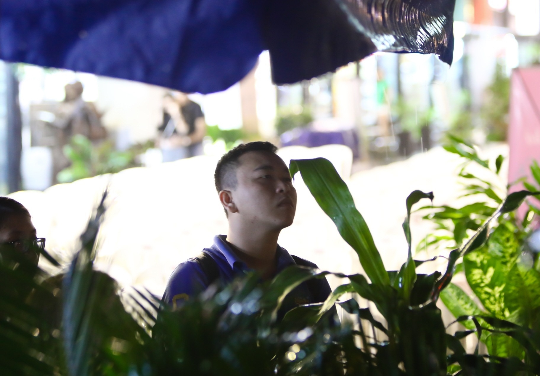 Dem nhac nho Trinh Cong Son o duong sach anh 7