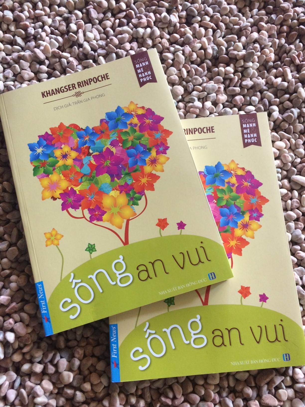 Tien si Phat hoc den Viet Nam gioi thieu sach anh 2