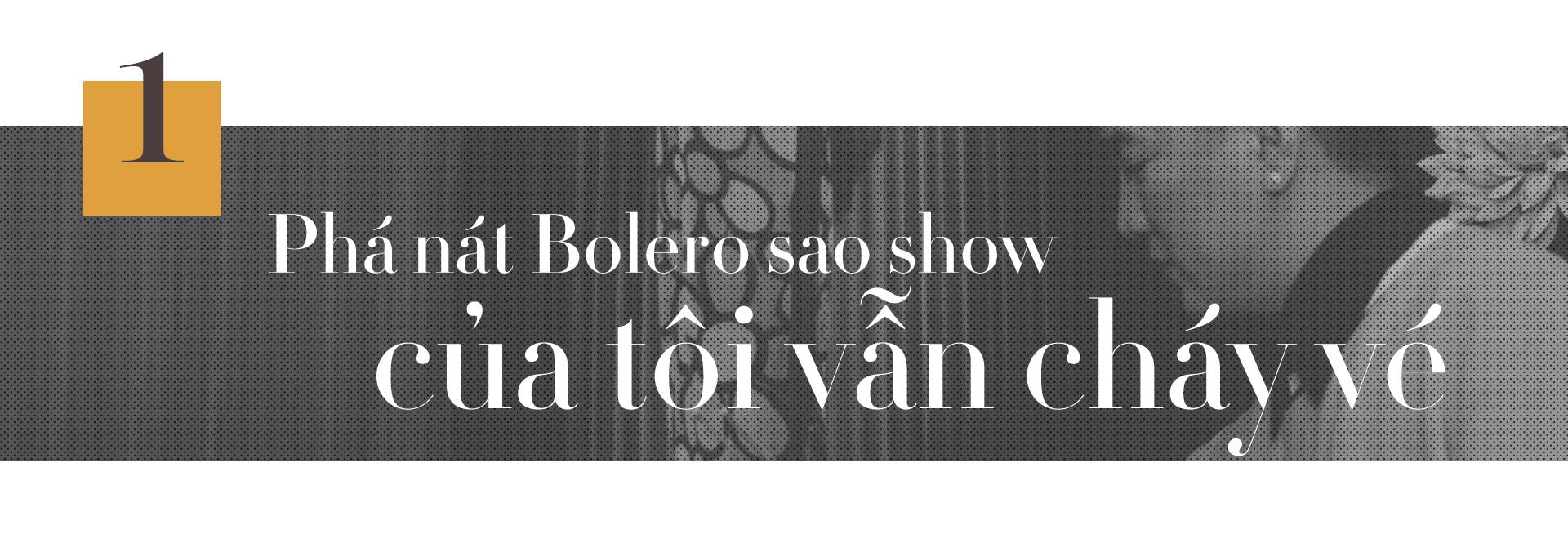 Dam Vinh Hung bo qua cho Quang Le anh 2