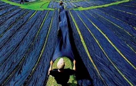 4 nha thiet ke Viet dua vai lanh My A tro lai san dien thoi trang hinh anh