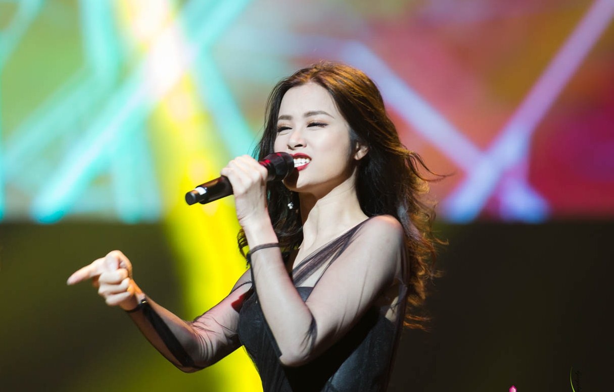 Live show ky niem 20 nam ca hat cua Hong Ngoc anh 5