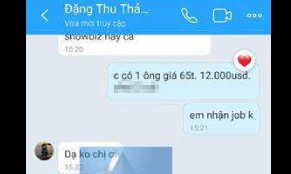 Dang Thu Thao len tieng ve tin di khach anh 1
