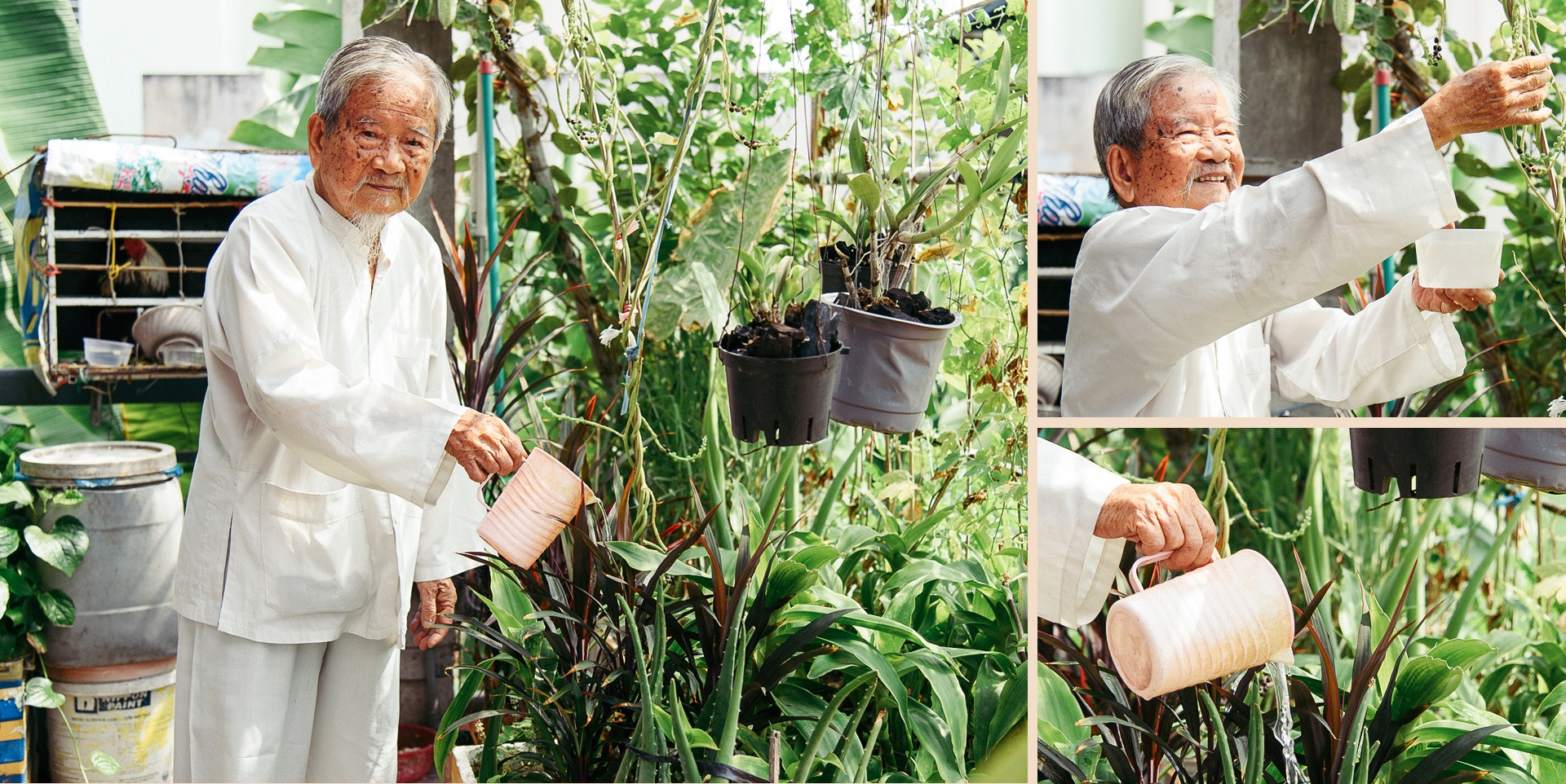 Nguyễn Đình Tư vẫn làm việc ở tuổi 97 ảnh 18 Nguyen Dinh Tu van lam viec o tuoi 97 anh 18