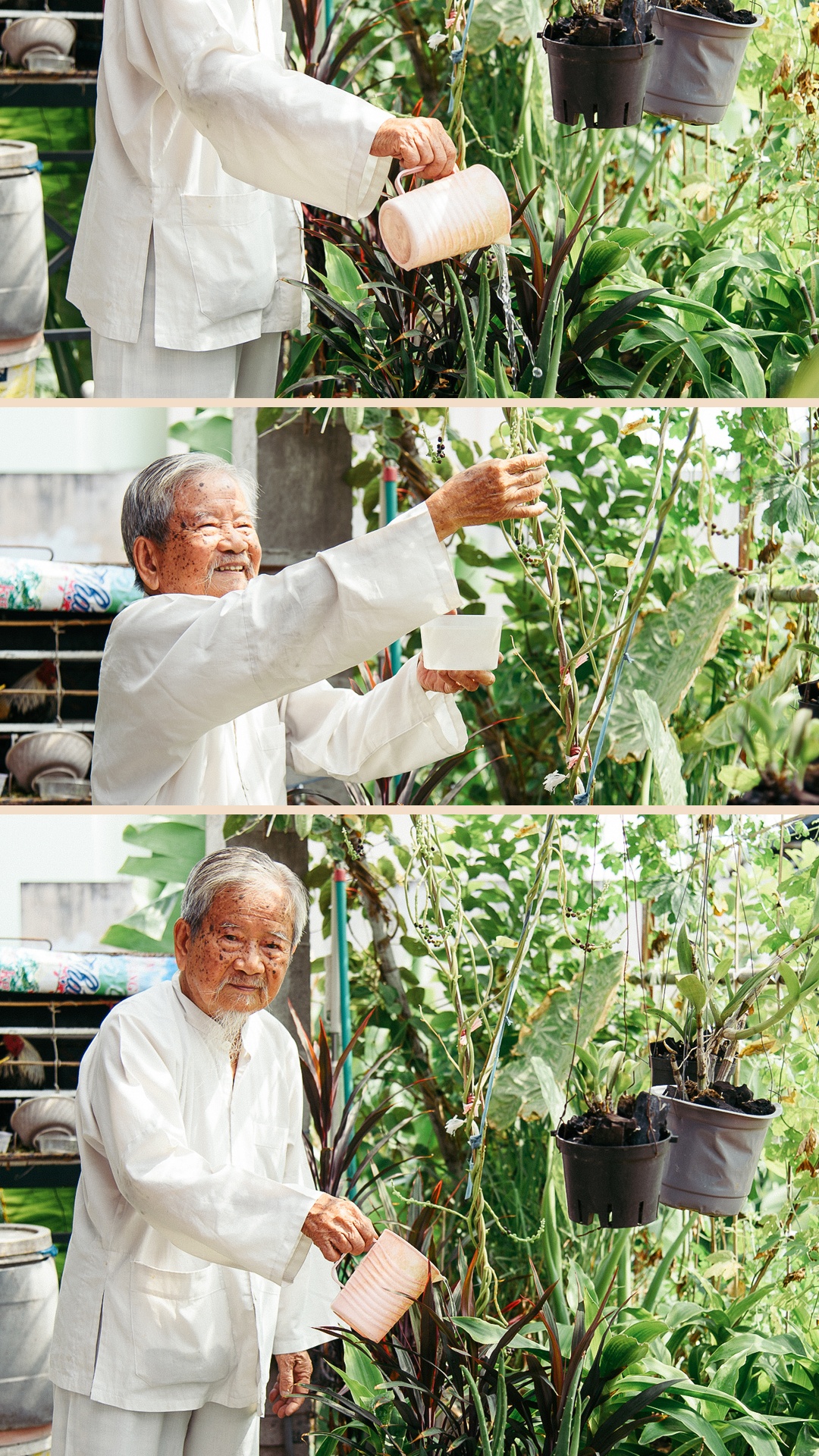 Nguyễn Đình Tư vẫn làm việc ở tuổi 97 ảnh 17 Nguyen Dinh Tu van lam viec o tuoi 97 anh 17